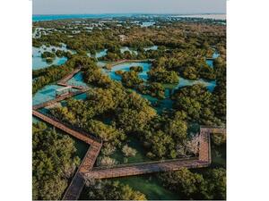 Emirates NBD Group Signs MoU With Jubail Island in Abu Dhabi to Plant 3,000 Trees - Strengthening Its ESG Initiatives