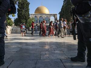 تدنيس يومي للاقصى بحماية الجيش الاسرائيلي