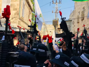 مجموعة عرين الأسود 