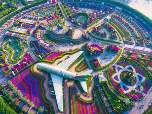 Miracle Garden