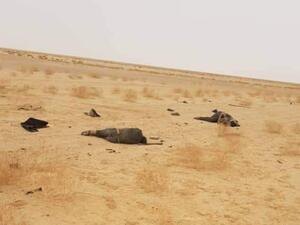 مصدر للبوابة: المغرب قتل موريتانيين بالدورنات