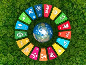 Sustainable Development Goals