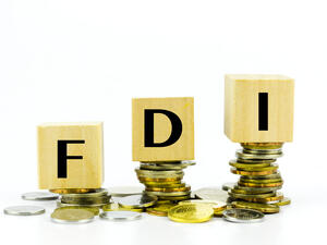 UAE FDI