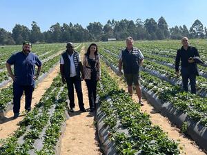 Dubai International Chamber supports Zimbabwean agriculture company expand in Dubai