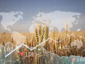 الحروب وتراجع أسعار العملات تفاقمان أزمة الغذاء في العالم
