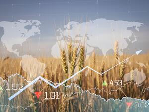 الحروب وتراجع أسعار العملات تفاقمان أزمة الغذاء في العالم