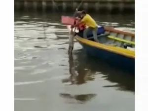 تمساح يوصل جثة طفل الى عائلته
