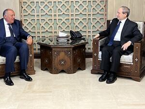 وزير الخارجية السوري فيصل المقداد ووزير خارجية مصر سامح شكري (سانا)