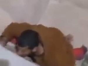 حارس يتجسس على طالبات جامعة في الجزائر