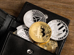 What are the different types of crypto bagholders?
