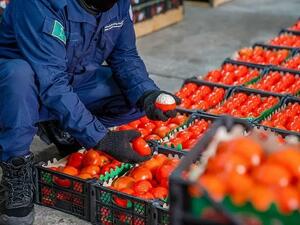 احباط تهريب  52 طنا و371 كيلوغرامًا من نبات القات المخدر، و1650 كيلوغراما من مادة الحشيش 