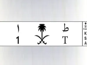 دفع شبان سعوديون نحو 7 مليون ريال بلوحتي سيارتين