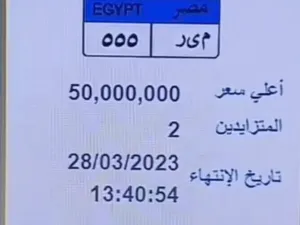 شخصان فقط قاما بالمزايدة على اللوحة الأغلى في مصر
