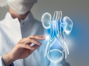 طبيب البوابة: علامات شائعة على سلس البول عند النساء
