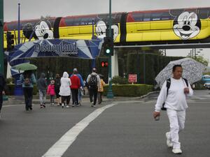 Disneyland Dragon bursts into flames during show