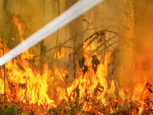 More than 100 fires ravage Northern Spain