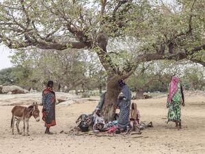 هدنة 7 ايام في السودان