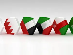 7 دول في مجلس التعاون الخليجي