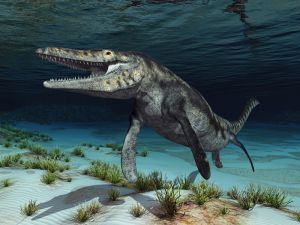 mosasaur