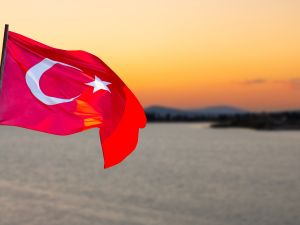 Erdogan rival withdraws from electoral contest 