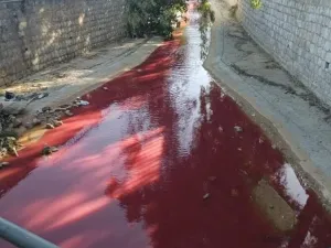وشهدت العاصمة السورية مؤخرا امطار غزيرة ، حالها حال عدة مناطق في بلاد الشام في وقت نادر هطول الامطار فيه .