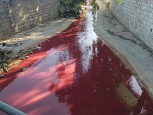 وشهدت العاصمة السورية مؤخرا امطار غزيرة ، حالها حال عدة مناطق في بلاد الشام في وقت نادر هطول الامطار فيه .