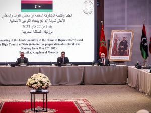 joint committee of the Libyan house of representatives