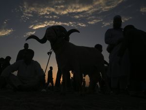 Eid al-Adha