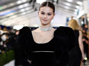 Selena Gomez unfollows Zayn, The Hadids and Dua Lipa