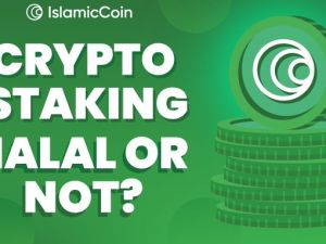 Islamic coin