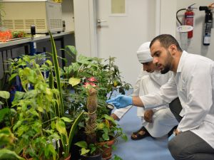 ضمن أجندة الاستدامة 2023 وإبرازاً للجهود الوطنية قبل كوب 28: جامعة الإمارات تموّل 7 مشاريع بحثية عن التغير المناخي