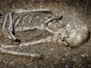 our ancient human ancestors