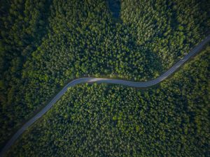 أودي الشرق الأوسط تعزز التنقل المستدام من خلال مبادرة Tree-Nation لإعادة التشجير