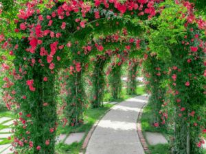 حدائق في فتحية