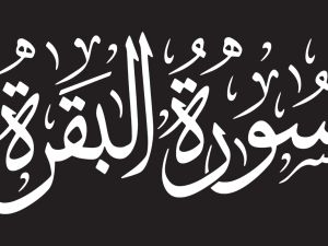 دعاء سورة البقرة لتحقيق الأمنيات