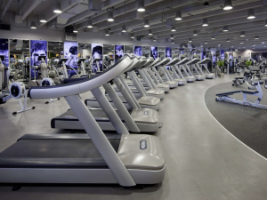 Dubai Sports Council approved the system of fitness centers classification based on the number of stars.