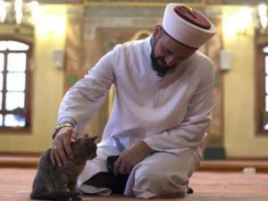 الإمام "مصطفى إيفي" يداعب قطة داخل المسجد