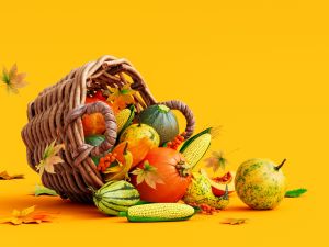 ما هي الخضروات والفواكة التي تزرع في فصل الخريف؟