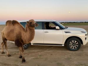 Nissan Al Babtain joins Kuwaiti travel-adventurer Al-Jowesri on his global expedition to explore diverse cultures