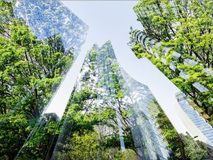 Schneider Electric’s new research shows that digital and electric solutions can cut carbon emissions in office buildings by up to 70%