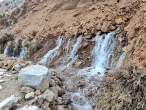 From (X.com) Earthquake