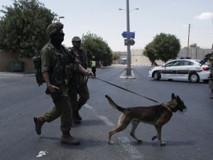 Israeli Soldiers