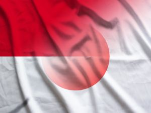 japan and yemen