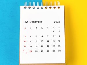 توقعات الأبراج لشهر كانون الأول/ ديسمبر 2023