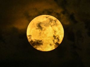 (Shutterstock/ File Photo) House