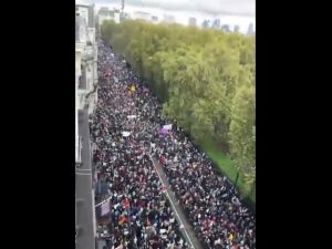 طوفان بشري في لندن يطالب بوقف فوري للنار في غزة