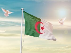 أبرز وأهم 5 شعراء في تاريخ الجزائر