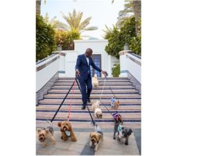 Park Hyatt Dubai Introduces a Tail-Telling Stay Offer 