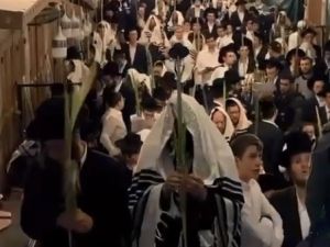 استمرار اقتحامات المستوطنين للمسجد الأقصى خلال خامس أيام "عيد العرش"