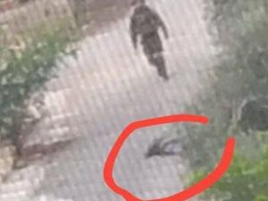 قوات الاحتلال منعت سيارات الإسعاف الفلسطينية من الوصول إلى موقع إطلاق النار